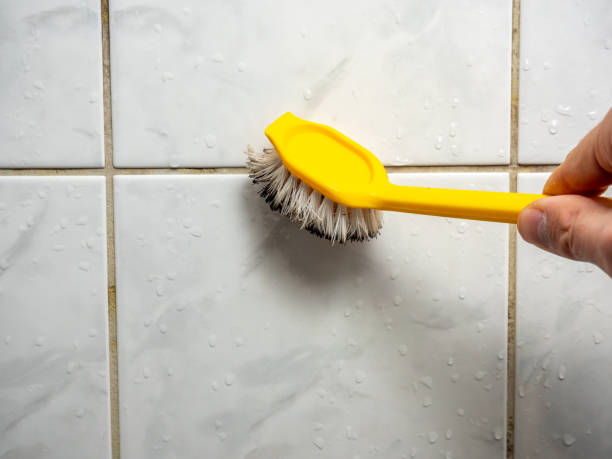 Best Mold Remediation  in Collierville, CA