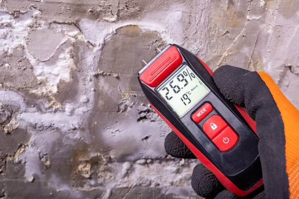 Best Residential Mold Removal  in Collierville, CA